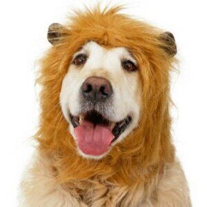 New Lion Mane Hat Dog Pet Halloween Costume Ears Size M/L Includes soft brown ea
